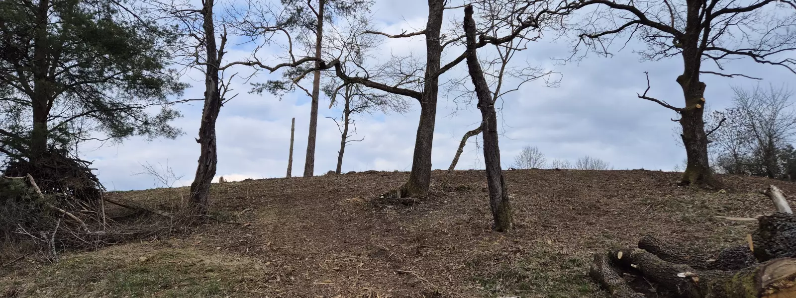 nach der Freistellung: hier kann sich nun wieder eine magere Wiese entwickeln