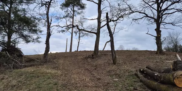 nach der Freistellung: hier kann sich nun wieder eine magere Wiese entwickeln