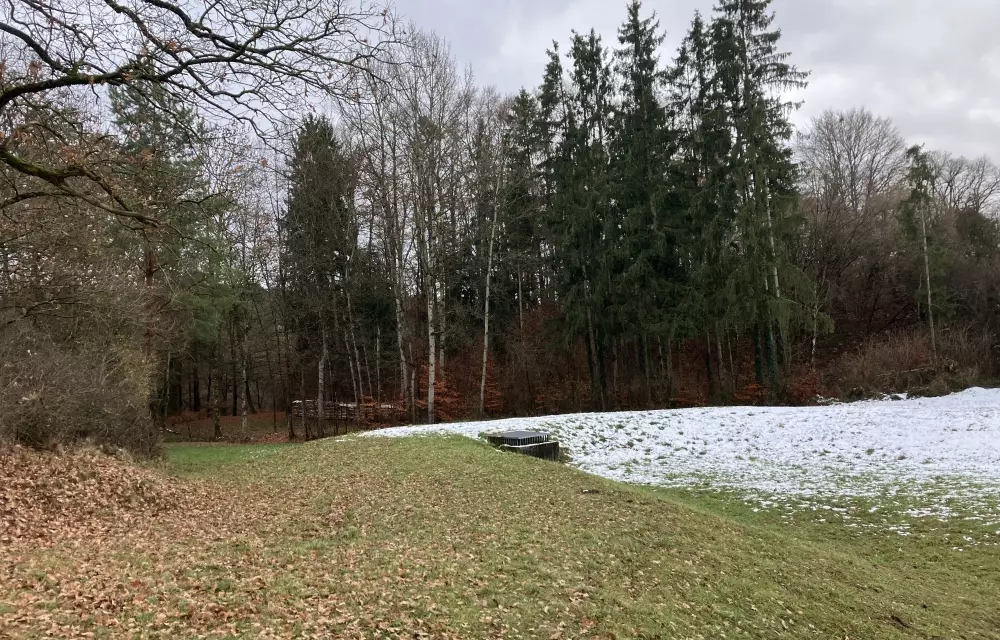 auch die Wiese am Regenüberlaufbecken soll sich artenreich entwickeln