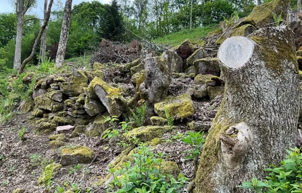Mauer vor der Sanierung