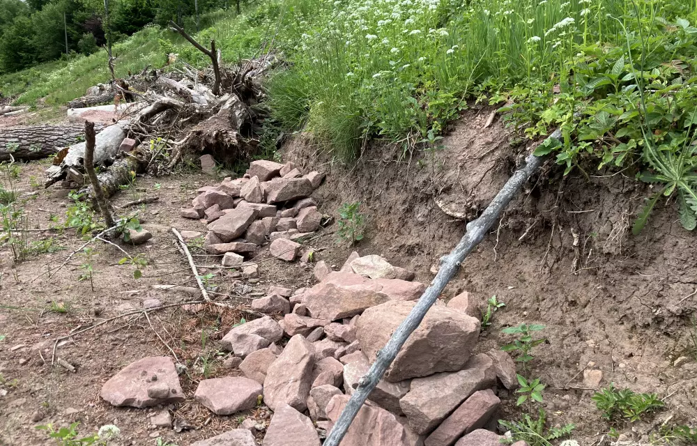 Auf der Ebene oberhalb der Mauer wurde der Gehölzschnitt und übrige Steine zu Haufen aufgeschichtet