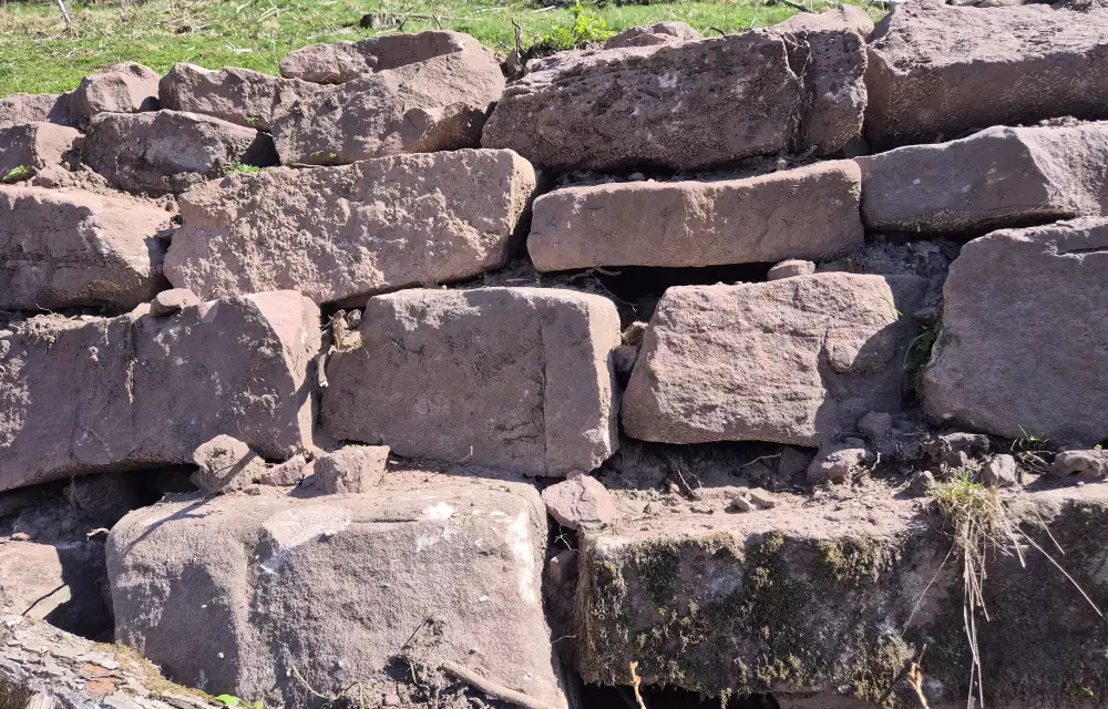 zahlreiche Lücken bieten Lebensraum in der neuen Mauer